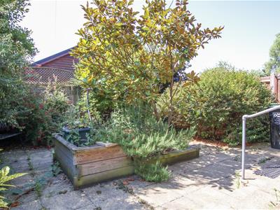 Picture 12
